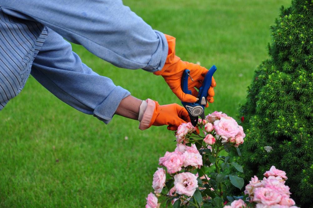 Faire appel à un service de jardinage